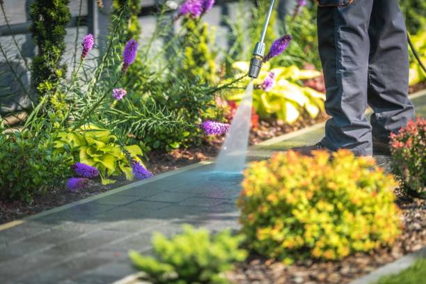 Best Oil and Grease Removal from Surfaces in Park City, IL