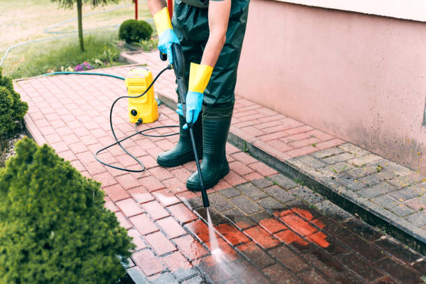Best Brick and Stone Cleaning in Park City, IL